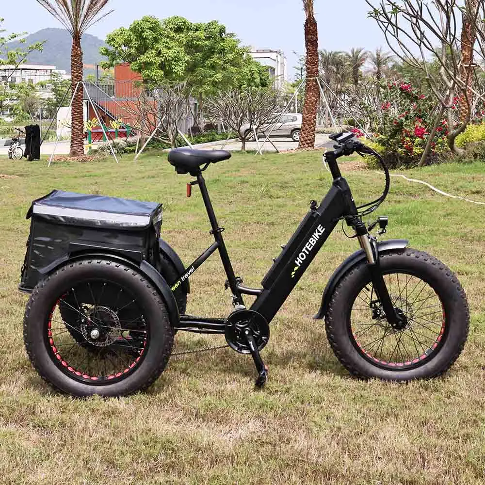 New Design 3 wheel electric bike ET250 cheap electric tricycle 20 inch 36V 250W motor electric bike with 3 wheels