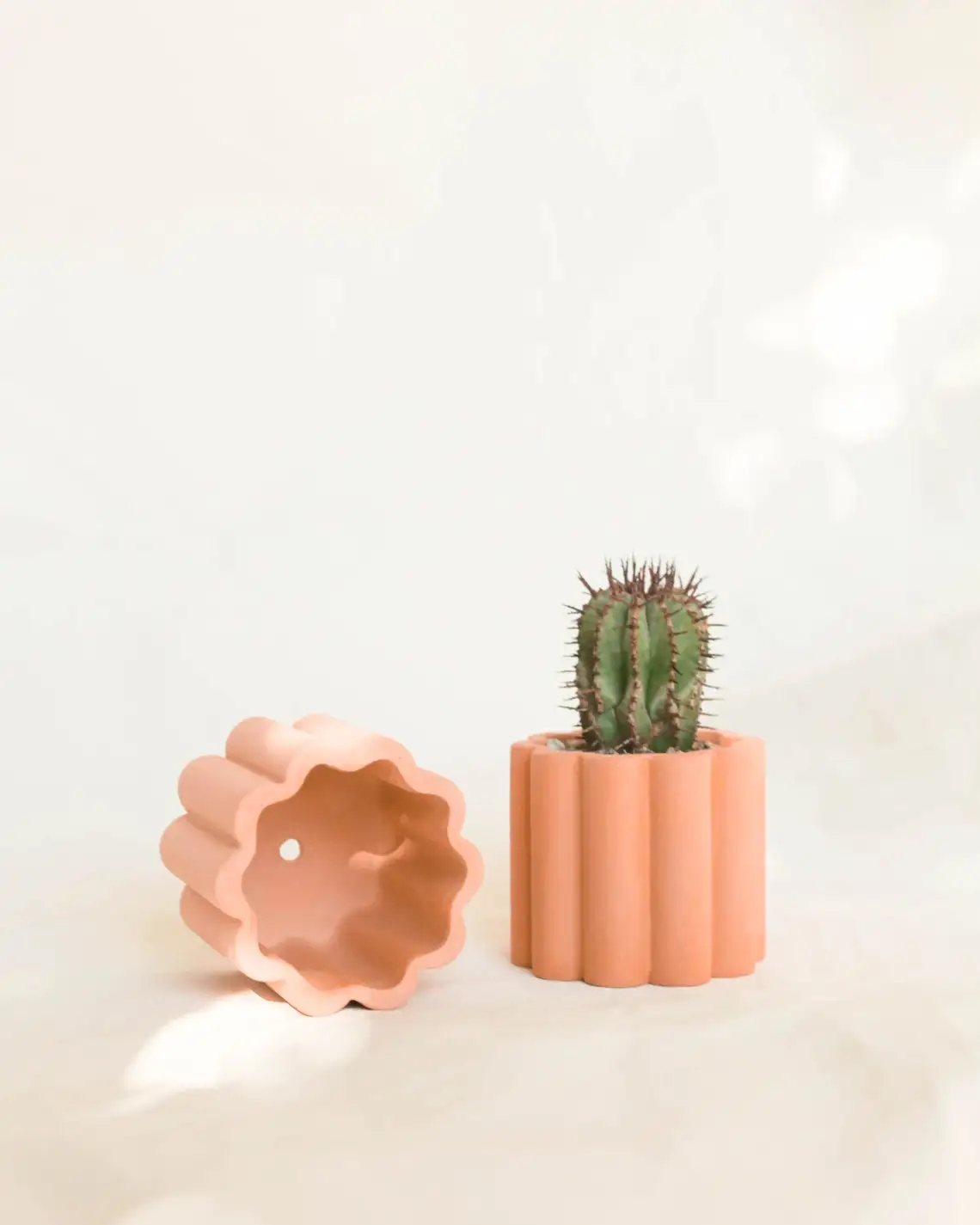 ceramic terracotta mini seed succulent clay planter mini juicy plant potted plants with artificial plant