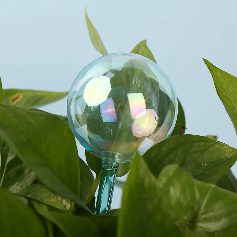 Glass automatic watering device ball watering device travel plant fleshy watering device house hold green planting soil