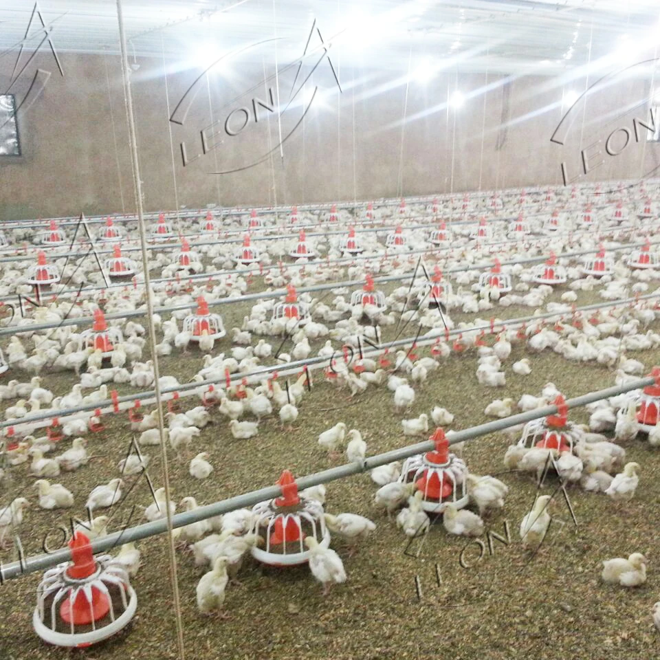 Dubai Prefab Poultry Farming Equipment Chicken Broiler Farm Animal Feeding System For Broiler Farms House Products