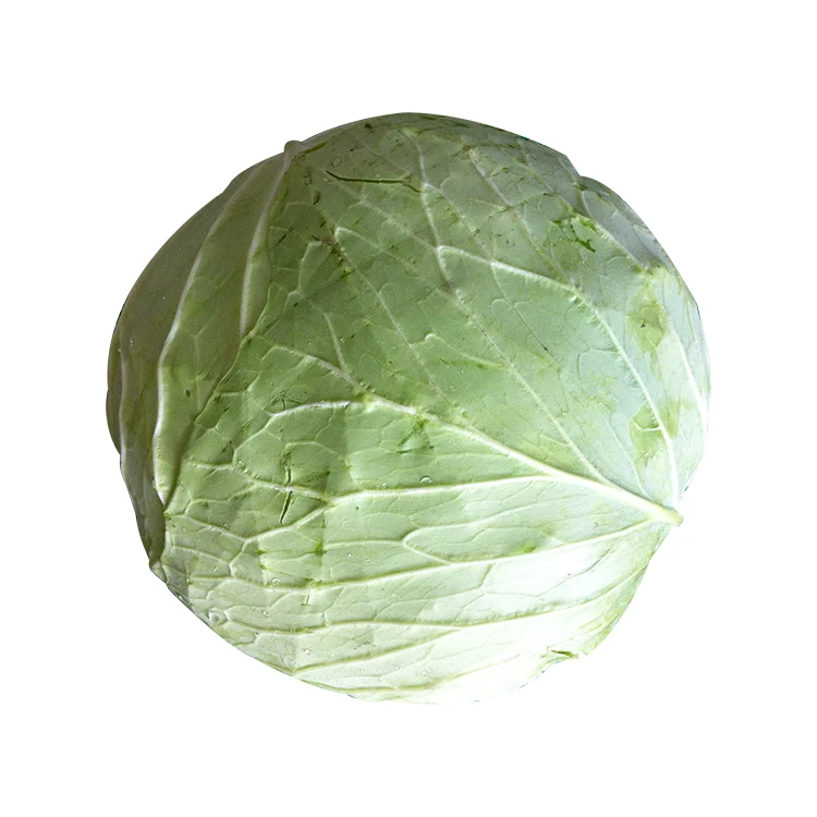 
Chinese asian vegetable green fresh chinese cabbage 