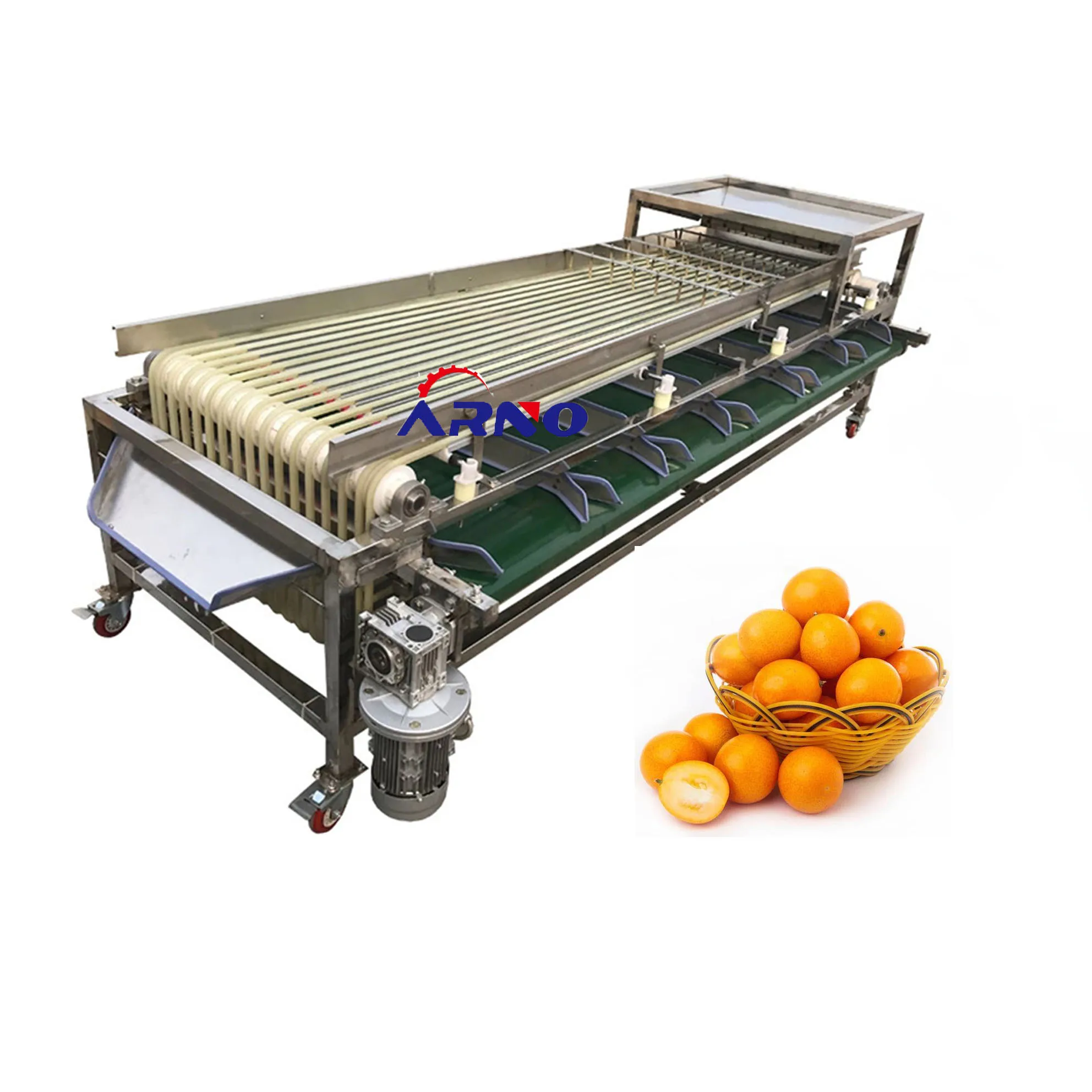 hot sale blueberry jujube dates vegetable fruits separator grader track sorter classifier screener sorting grading machine