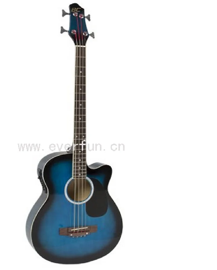 electric acoustic bass