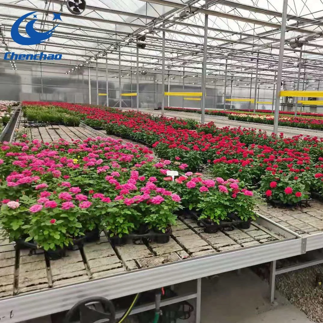 Aluminum frame with hot galvanized greenhouse Ebb and Flow rolling bench