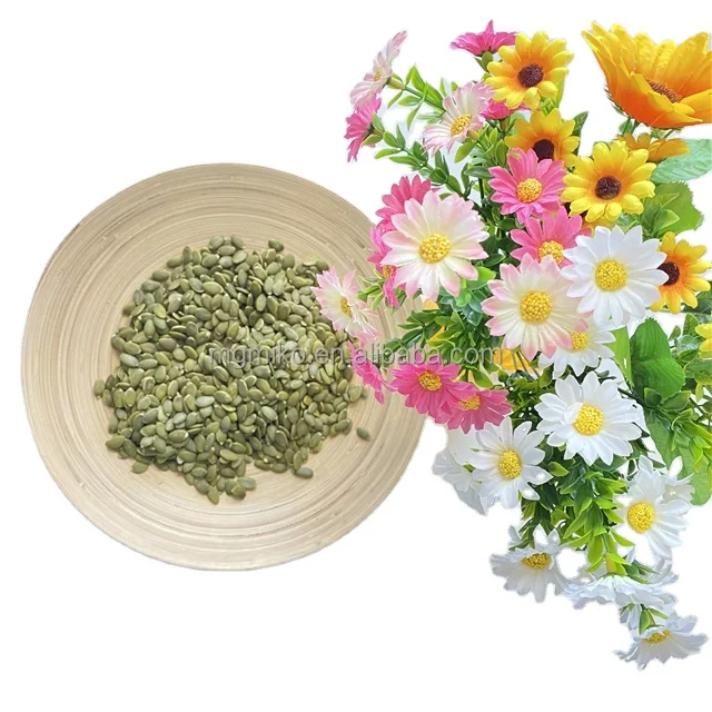 china factory wholesale large grain pumpkin seeds price per ton