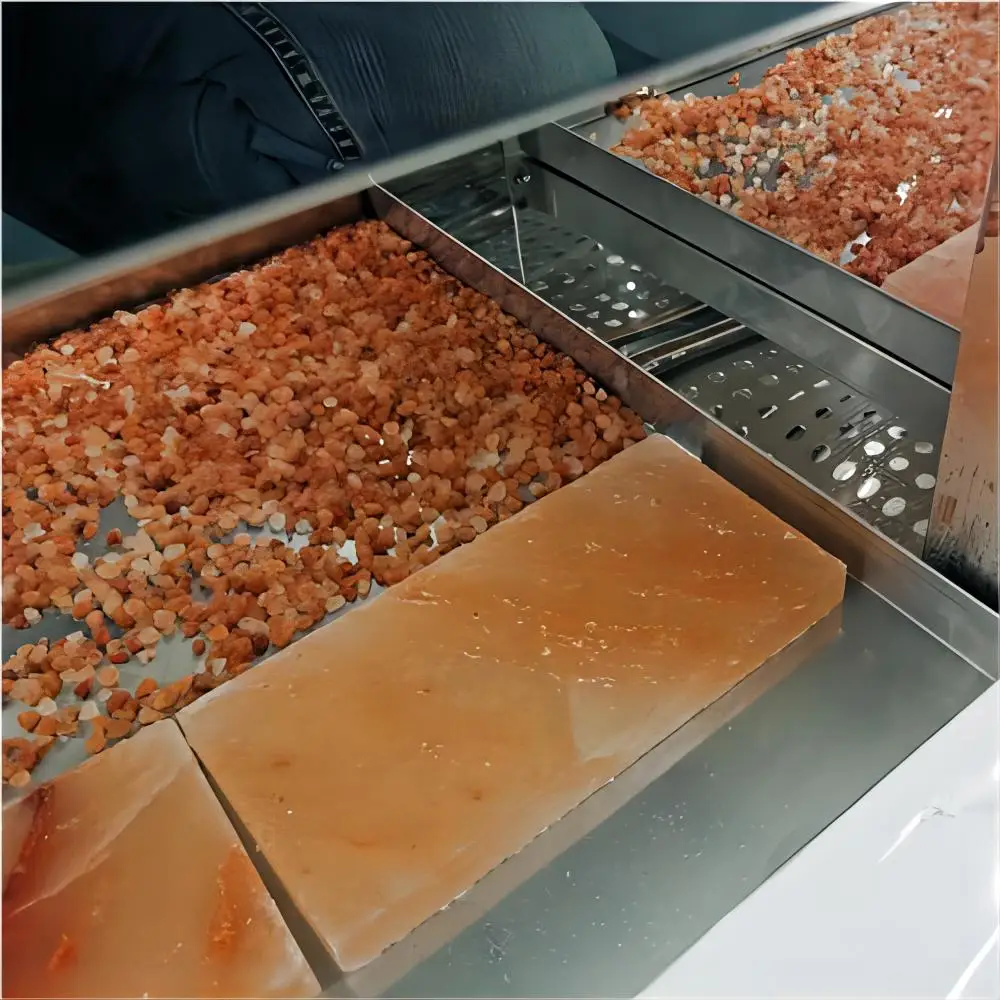 Single-Temperature Beef Steak Dry Ager Refrigerator Beef Maturity Dry Aging Fridges Meat Cabinet for Aging Meat