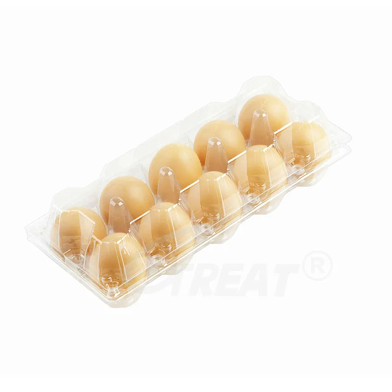 Factory Price 20 Cell Custom Clear Egg Tray Plastic Egg Cartons PET Quail Egg Tray