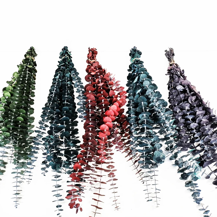 summer flora Original color wholesale Dried natural flower stem for New Year decoration preserved flower eucalyptus