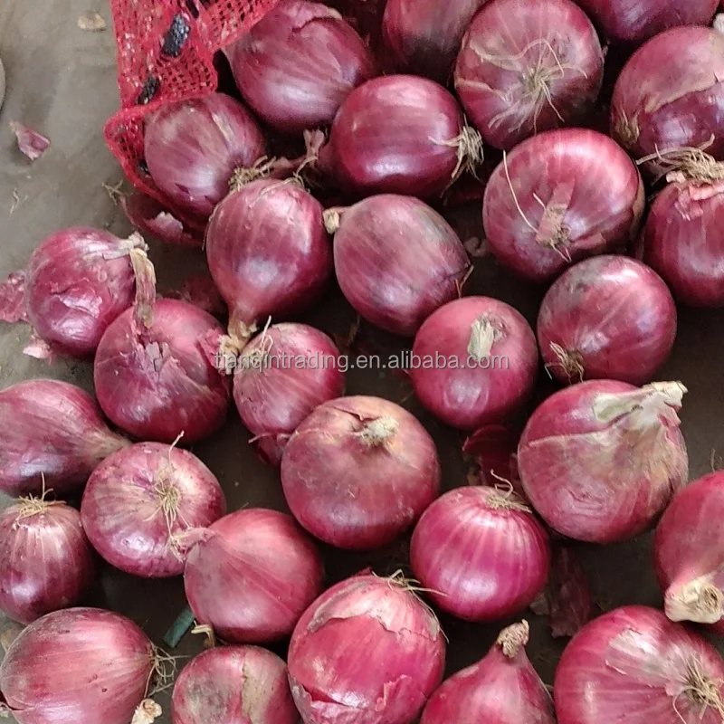 Red Onion price