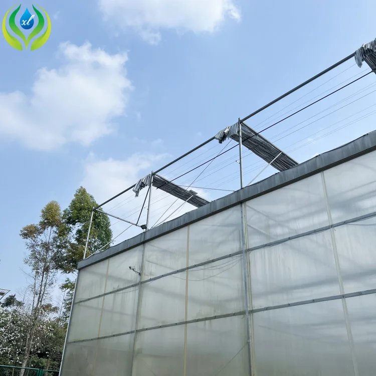 MYXL green house  uv plastic polycarbonate sheet panel greenhouse structure