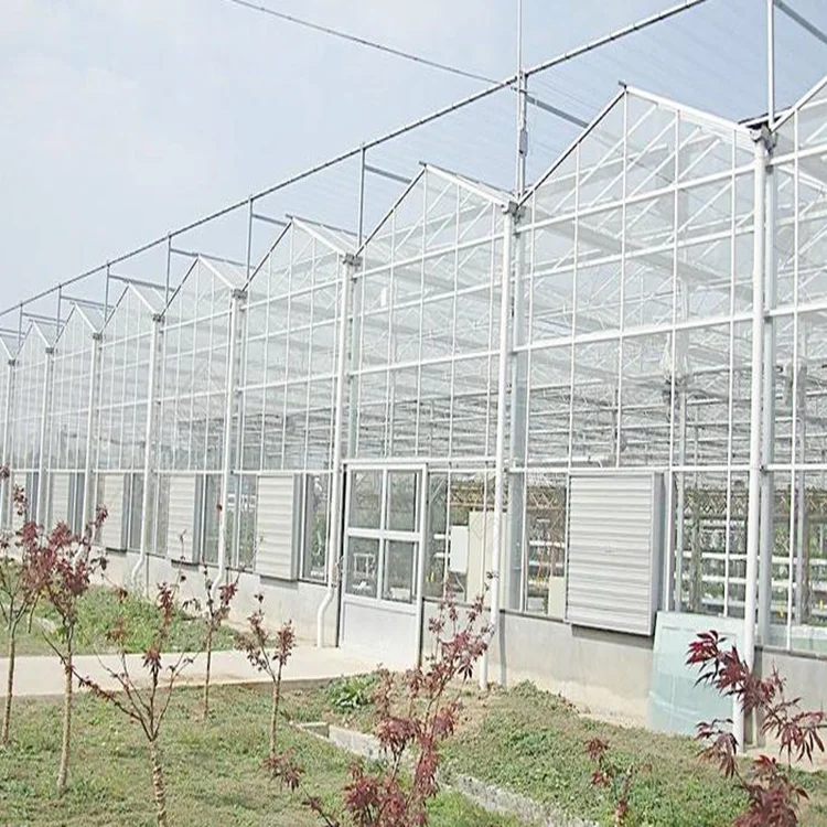 
Large multi-span polycarbonate and galvanized steel griculture greenhouse kit tunnel with hydroponic system 
