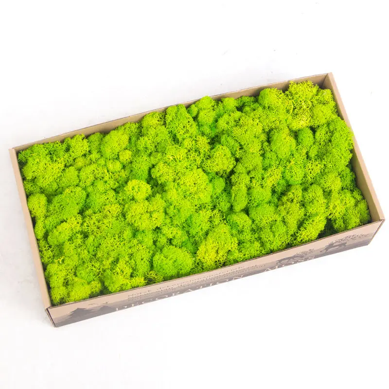 Colorful Artificial Moss Preserved Live decorative  for Landscape wedding Decoration restaurant