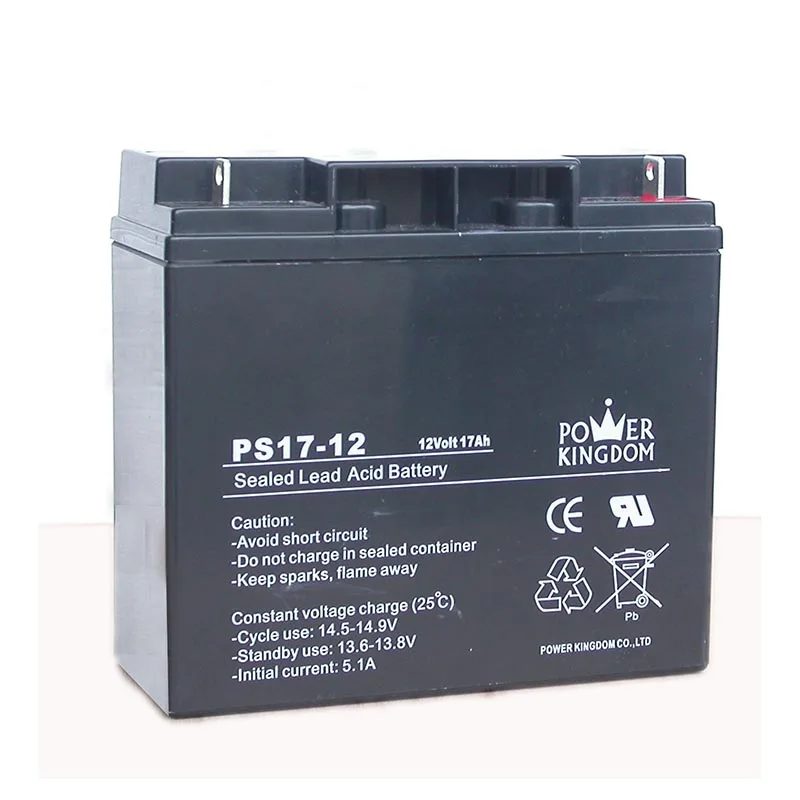 Power Kingdom 12V 17Ah Agm Sealed Lead Acid Battery Valve Regulated Lead Acid Batteries