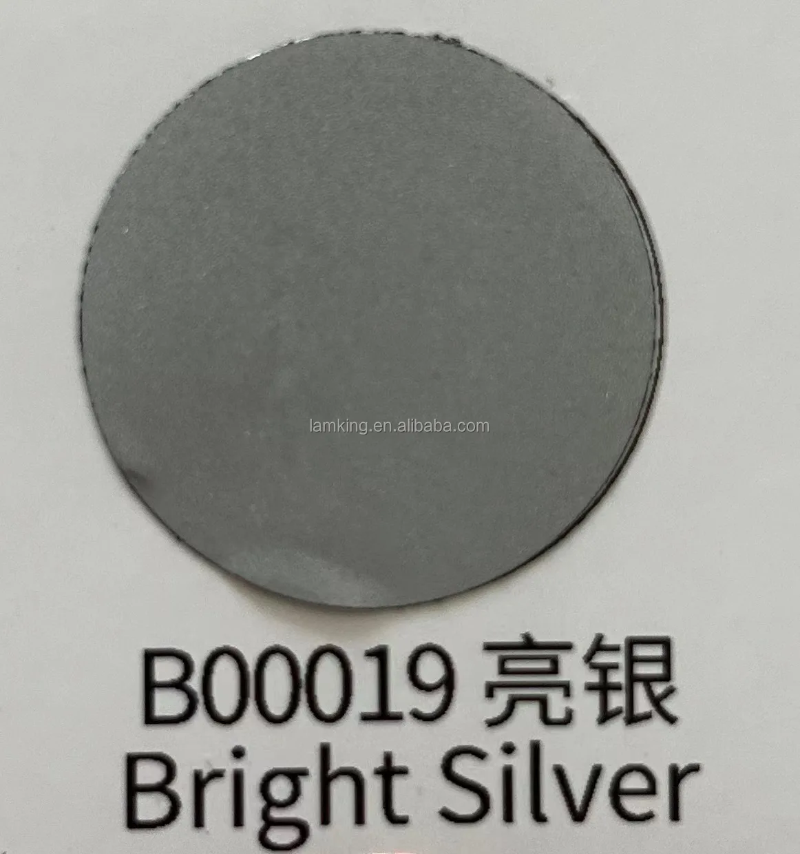 B00019-Silver reflective.jpg