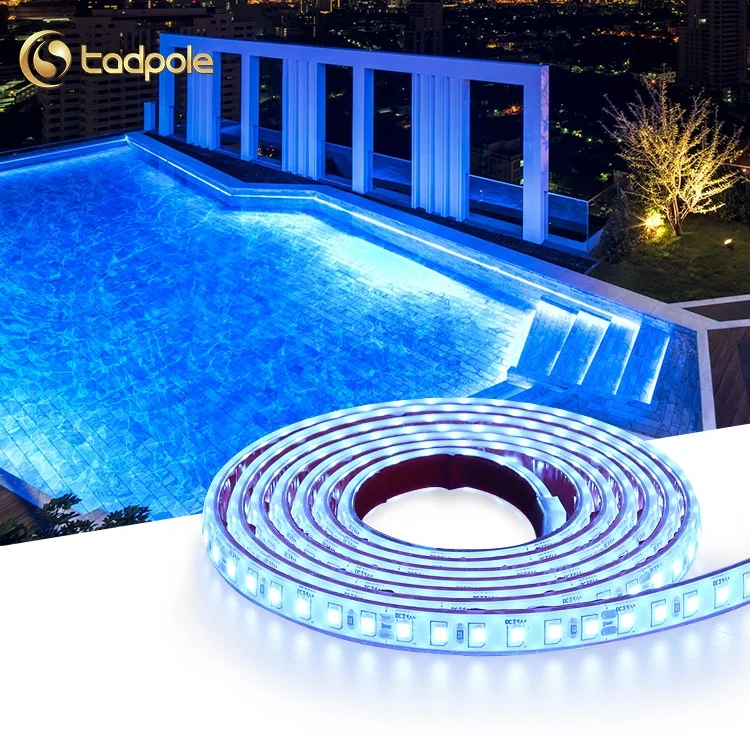 Oem Customized Project Ip68 Waterproof Smd5050 Smd2835 Rgb Led Strip Swimming Pool Light