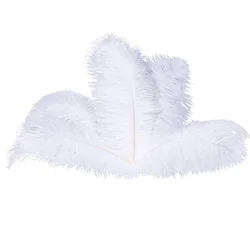Amazon Hot Sale Natural Ostrich Feathers 12-14inch (30-35cm) for Wedding Party Centerpieces,TOYS0942