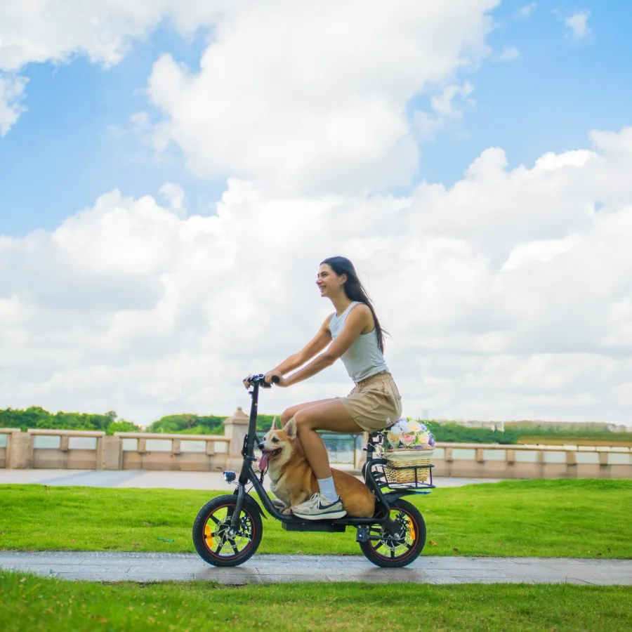 EU UK warehouse Hot Sale Latest Adults folding mobility Seat Two Wheels electronic bike Off Road Electric Scooters motor adult