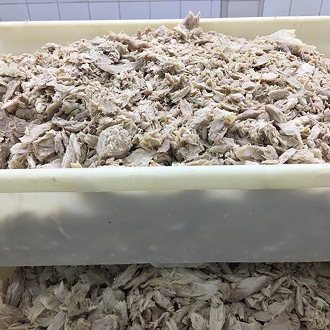 Замороженные морские продукты Бонито тунец чешуйчатая рыба