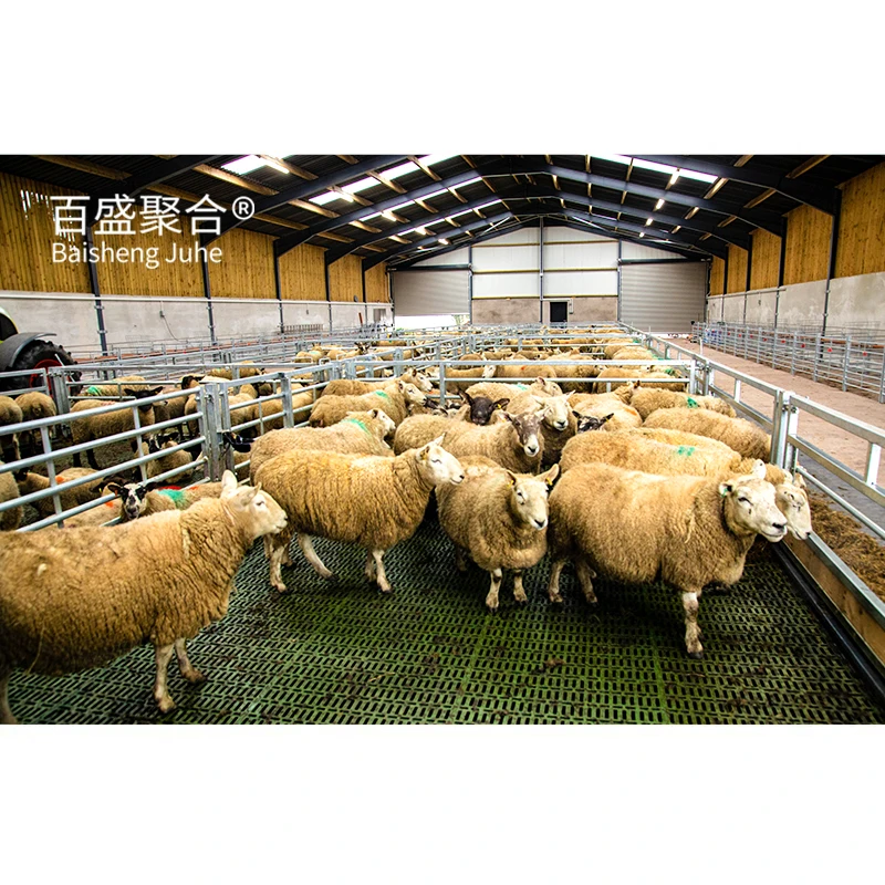 China manufacturer top quality sheep steel structure livestock farm sheds animal livestock