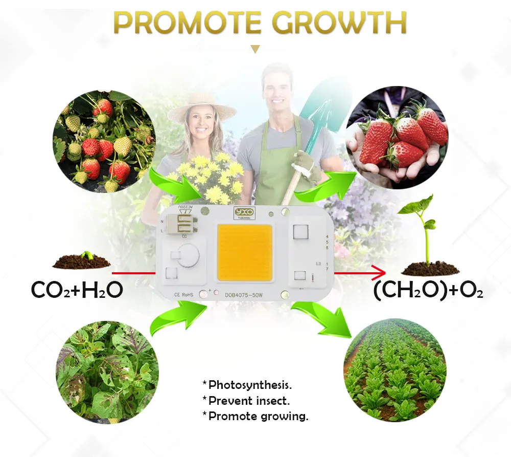 Customized Cob Led Light Strip Panel Chip 20 30 50W Red Yellow White Lighting Color Dc Led Chip Lamp Diy