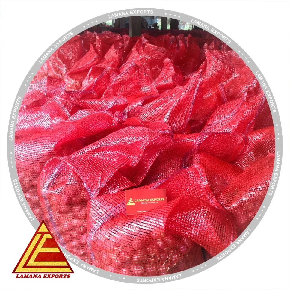 Podisu Onion New Crop for Export Malaysia Singapore