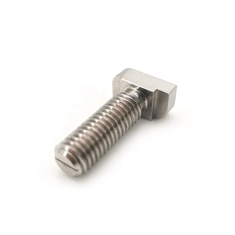 China Factory Custom Stainless Steel 304 Hammer Screw Turning T Head Bolt for Cars
