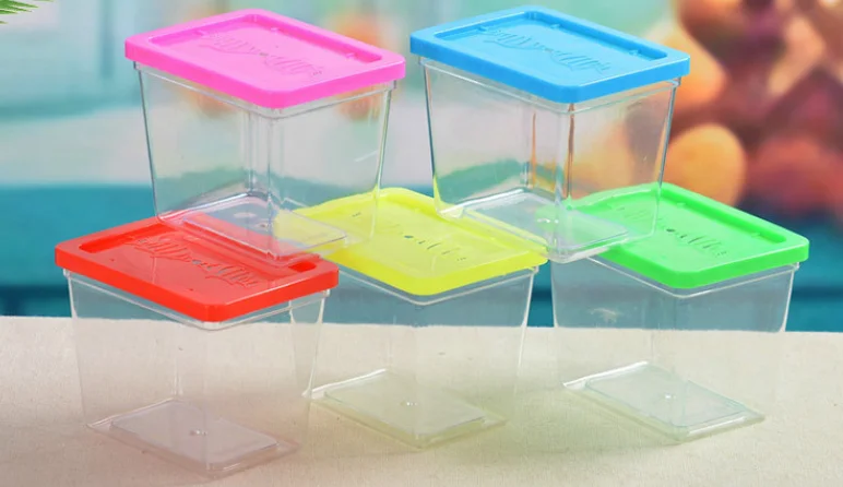 Transparent Mini goldfish tank small size resin Aquarium plastic insect box