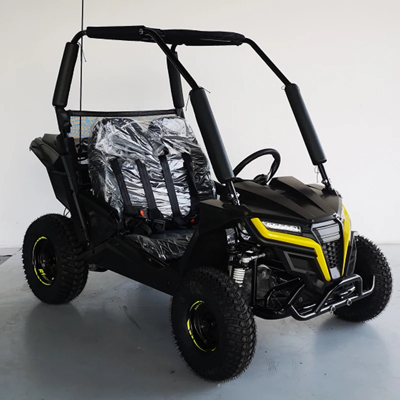 Kids racing buggy ,mini gasoline go karts  163cc