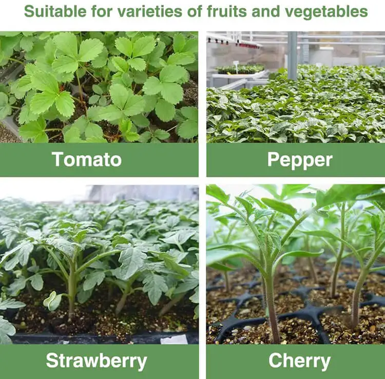 Professional Seed Tray Plant Cells Seeding Flat Germination Seedling Plug Trays