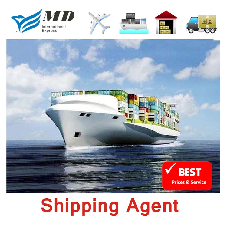Meidi Door To Door Sea Shipping China Ship To Qatar By Chinese Shipping Agent To Qatar Freight Forwarder DDP