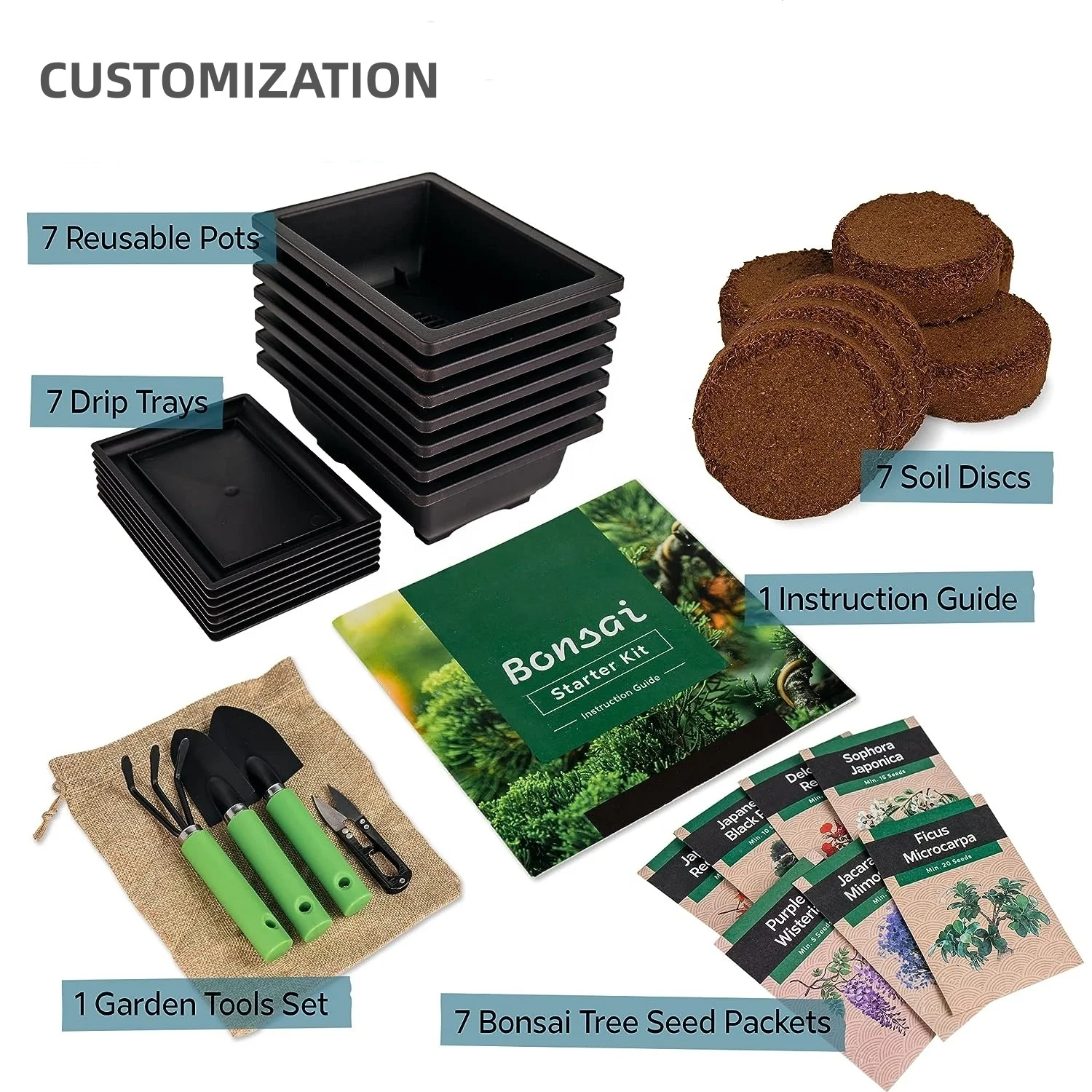Hot Sale Professional Bonsai Tree Kit with Types of Seeds Low Cost
