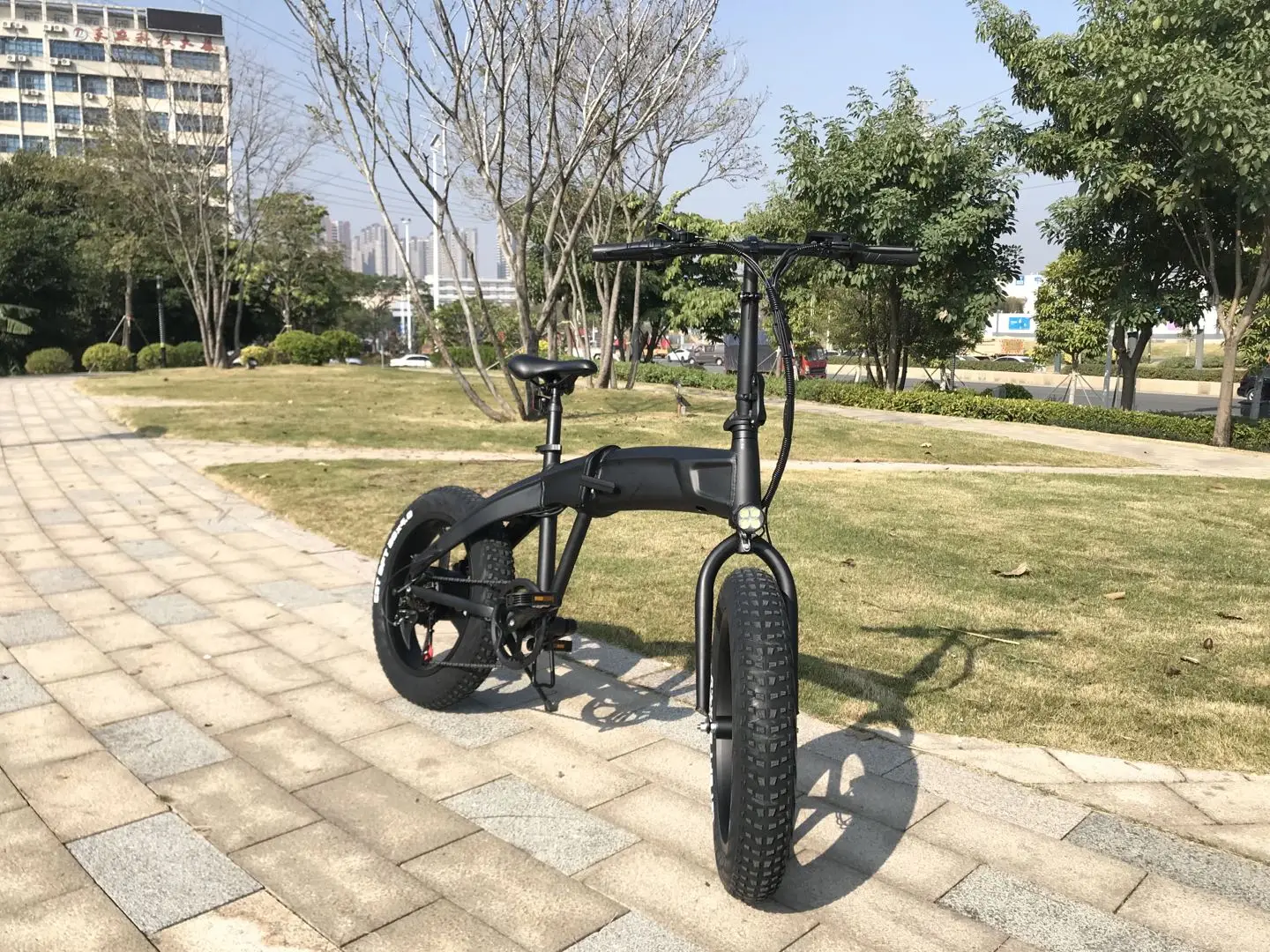 Bicyclette Good quality Cheap Price Men and Woman Snow Wheel Electric Bicycle