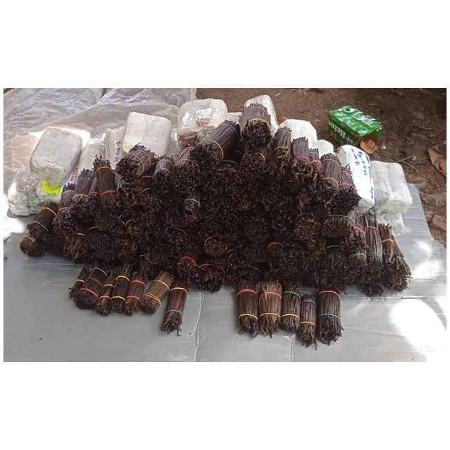 Fresh Sun Dried Wholesale High Quality Bulk And Natural Tropical Organic Planifolia Black Pods Vanilla Bean
