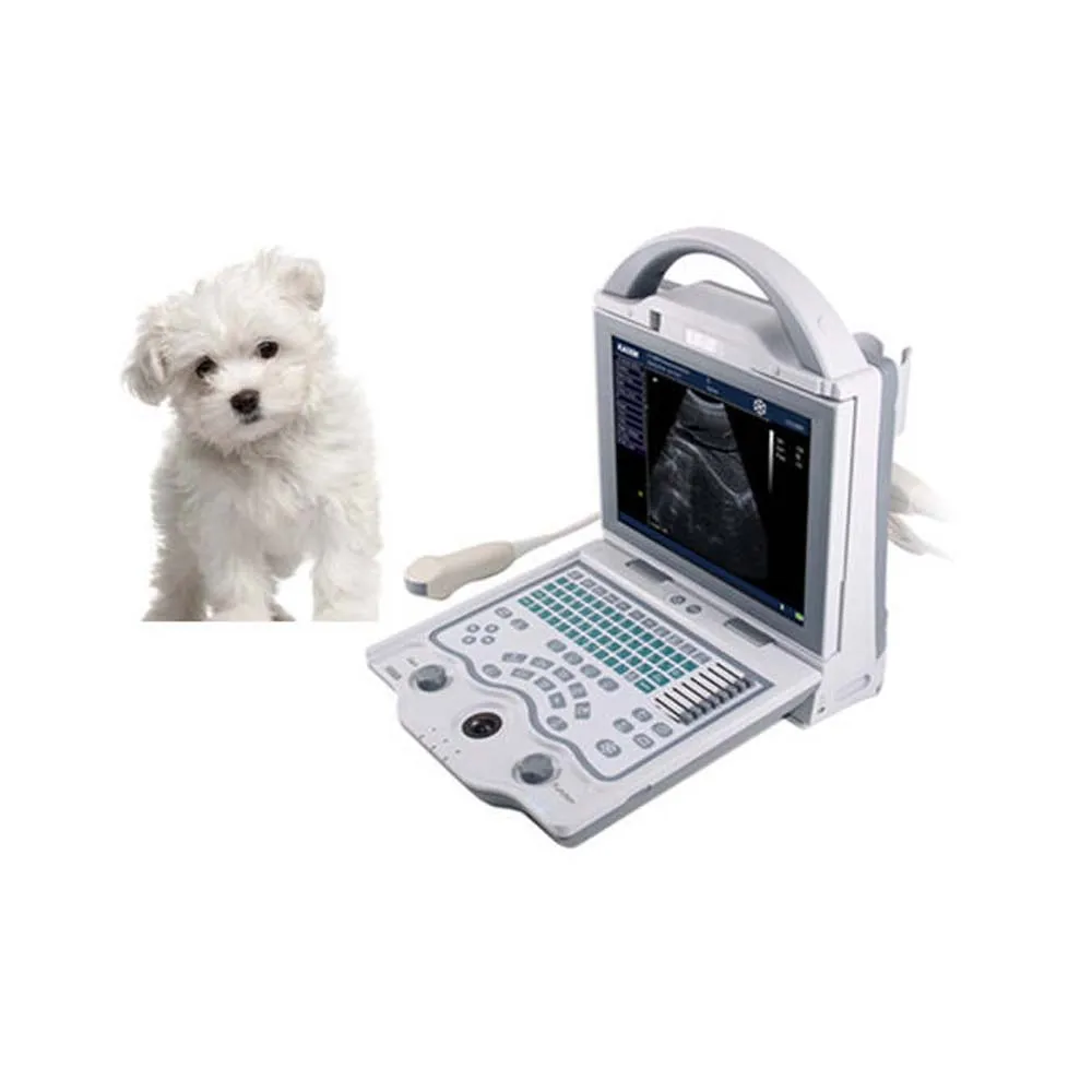 Портативный ультразвуковой аппарат для беременных микро-выпуклый зонд сканер KX5600