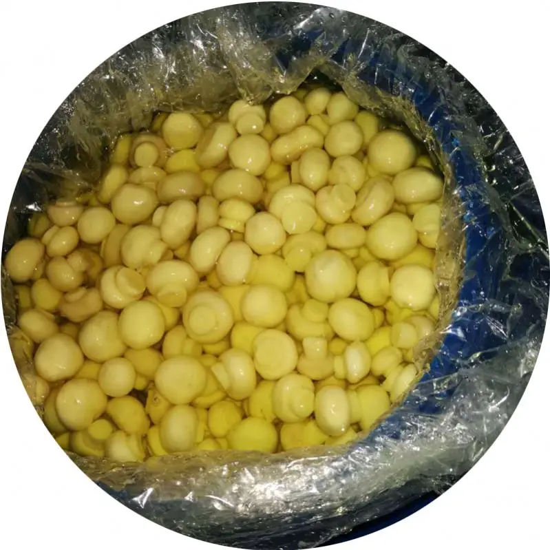 
PNS King oyster mushroom in drums 