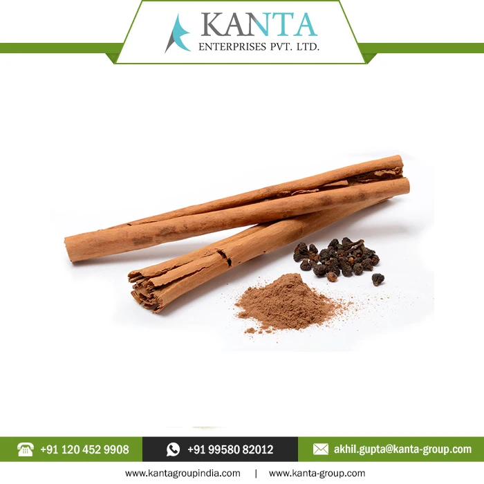 Best Selling Medically Tested Cinnamon Essential Oil Fight bacteria, parasites and fungi at Low Price