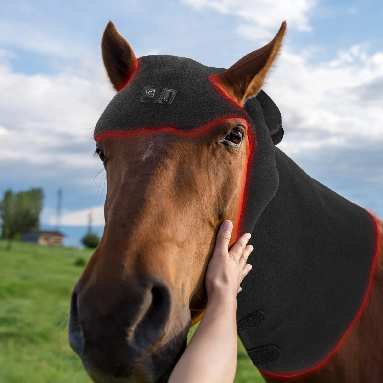 Good Selling Cordless Physiotherapy 850nm Infrared Head Wrap 660nm Blue Light Red Light Therapy Pad Horse