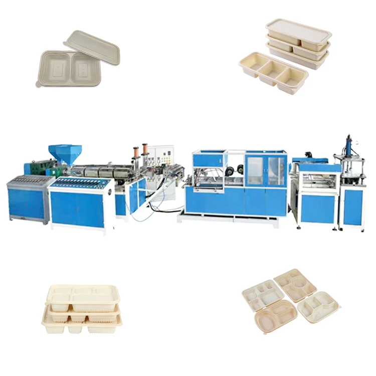 Full Automatic Hot Sale Disposable Biodegradable Plastic Foam PLA Corn Starch Lunch Box Food Container Machine