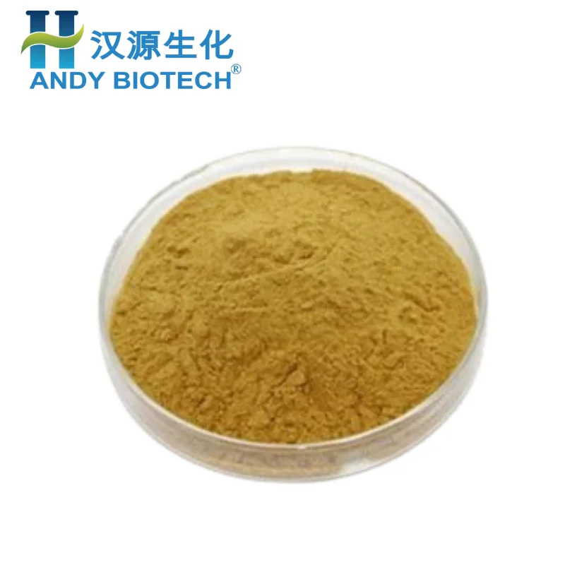 Bulk Price Natural Vitis Vinifera Grape Leaf Extract Powder