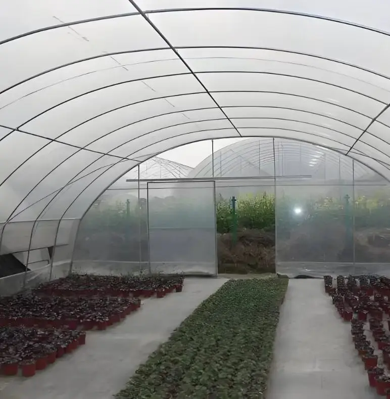 Hot Selling Large Agricultural Insulated Arched Easy Install PE Film Material Square Pattern Green Plants single span Greenhouse