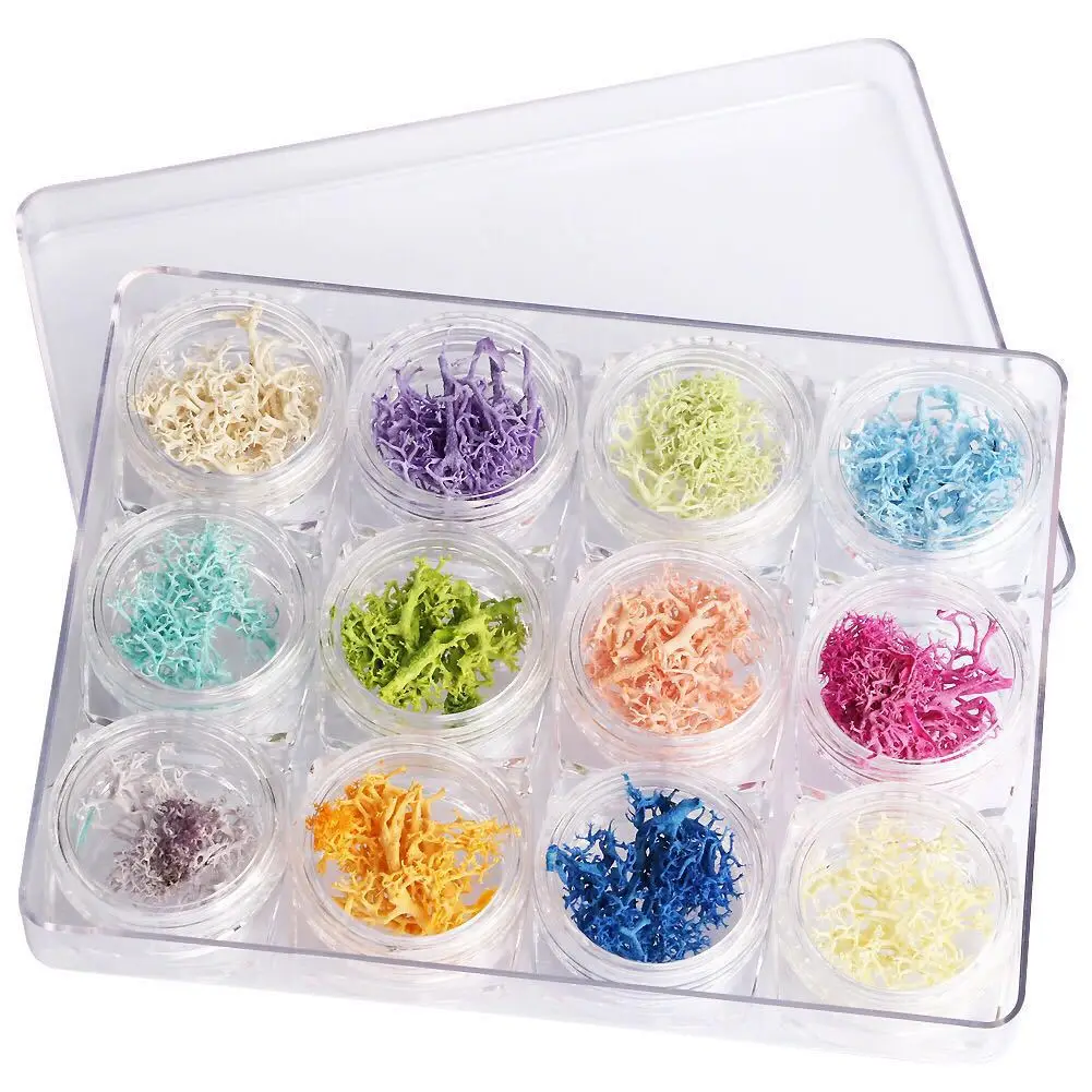 12 Colors Nature Coral 3D Nail Art Seaweed Dry Preserved Flowers Tips Decoration Nail Algae  Nail DIY Manicure Accessories