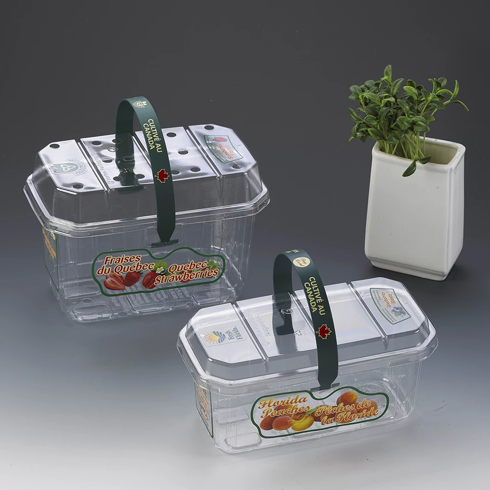 vegetable plastic fruit container for market packaging fruit box for vegetable and fruit