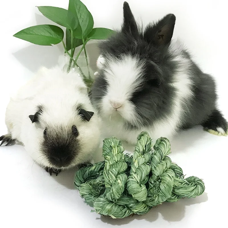 Rabbit hamsters guinea pigs chinchillas and rodent snacks toy teething chew toys rabbit timothy grass molar food Rabbit treats