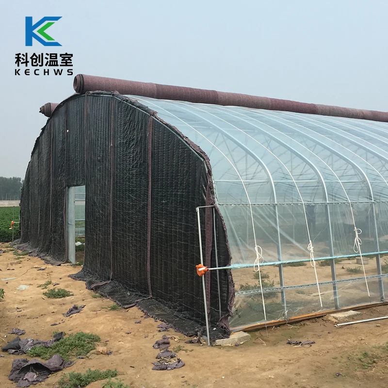 China Manufacturer Agricultural Plastic Greenhouse Shed Film Greenhouse Tunnel Portable For Tomato