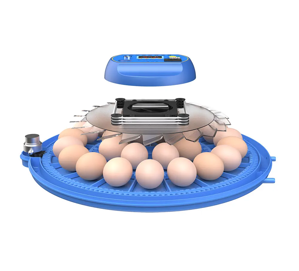 Fully Automatic 8 pcs 26 pcs 52 pcs chicken eggs incubator