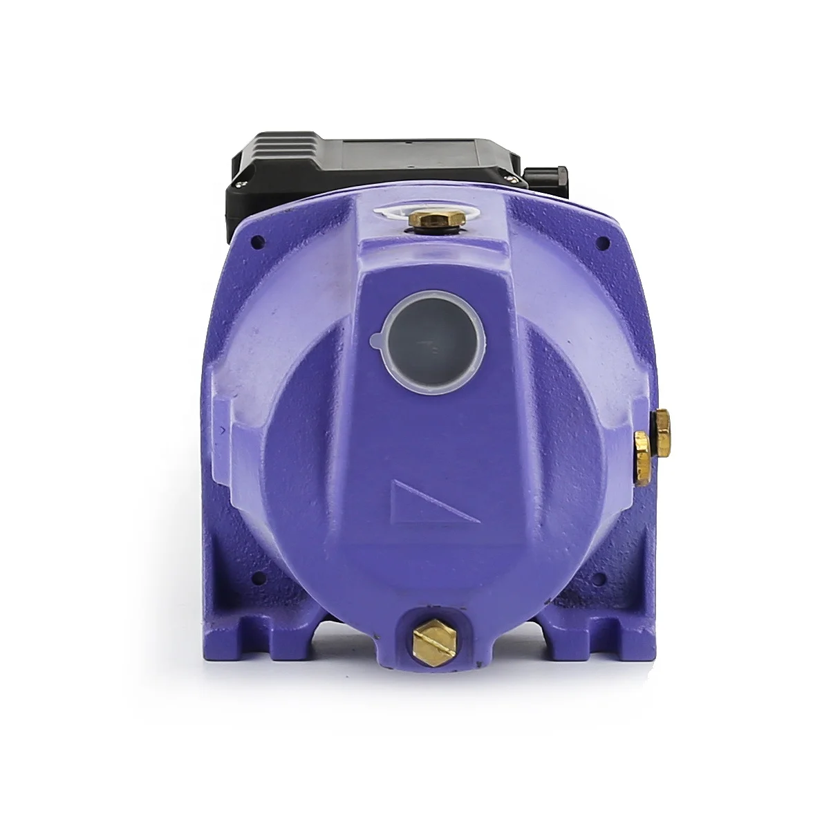 DACHENG 110V 220V JSW irrigation surface jet100 Auto Electric Power Motor 1hp Water Pressure jet Pump