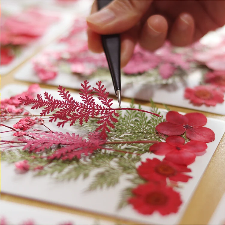 I038 Nails Decoration Natural Dried Pressed Flowers Handmade Dried Flower Petals and Grass for wedding