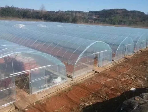 
Good Quality And Easily Installed Agricultural/Commercial Green House Greenhouse 