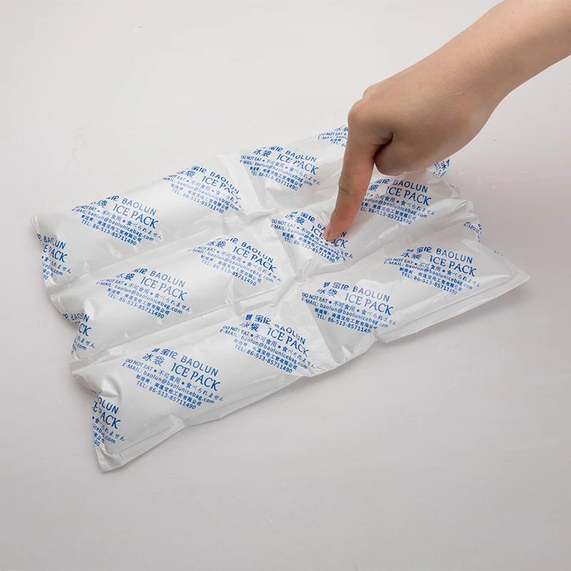 BSG custom logo can be cut 12 sheets ice pack dry ice pack sheet for food and drink delivery