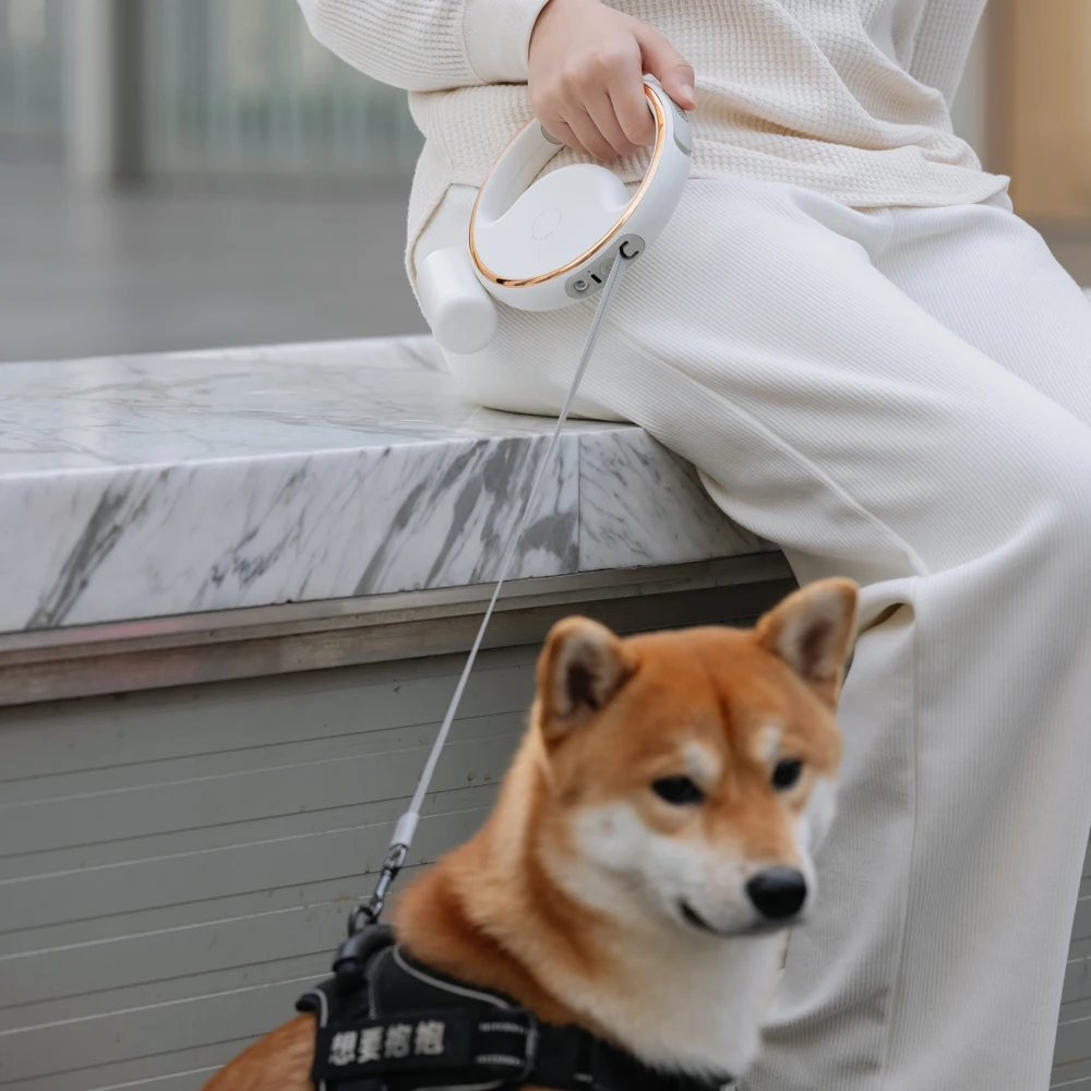 Long Luxury Dog Leash With Light Smart All In One Dog Leash For Small And Large Dog